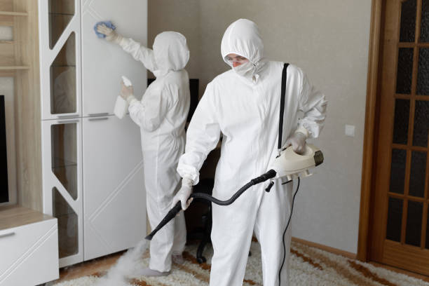 Crawl Space Mold Removal in Burbank, IL